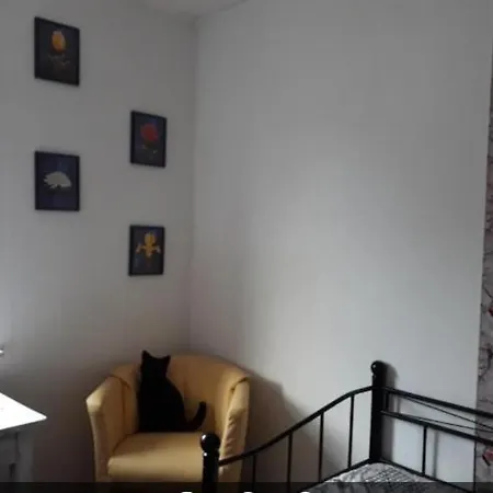 B&B One-Bed Room Mariensee